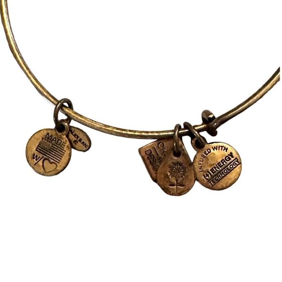 ALEX AND ANI Celtic Knot Charm Bangle in Rafaelian Gold Finish - Picture 5 of 5